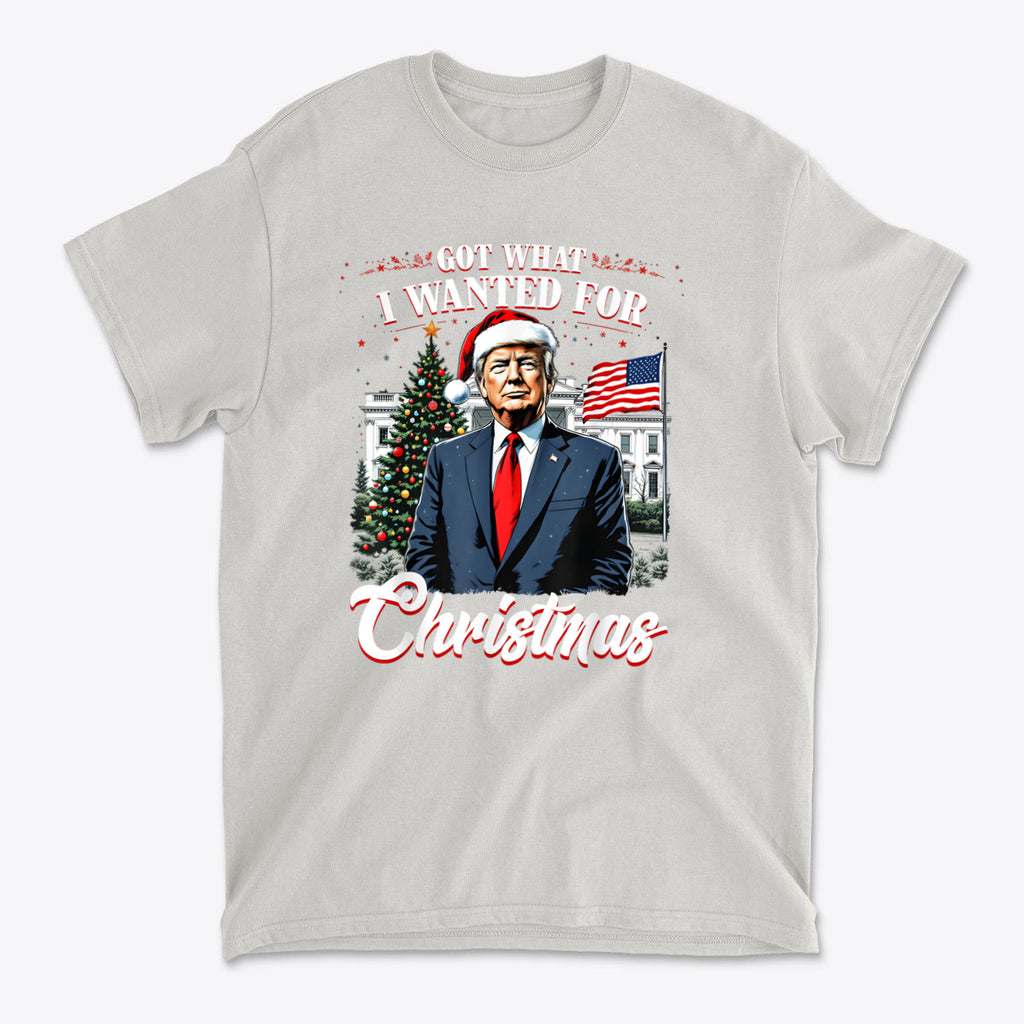 I Got What I Wanted For Christmas graphic t-shirt featuring a festive design with a character in a Santa hat.