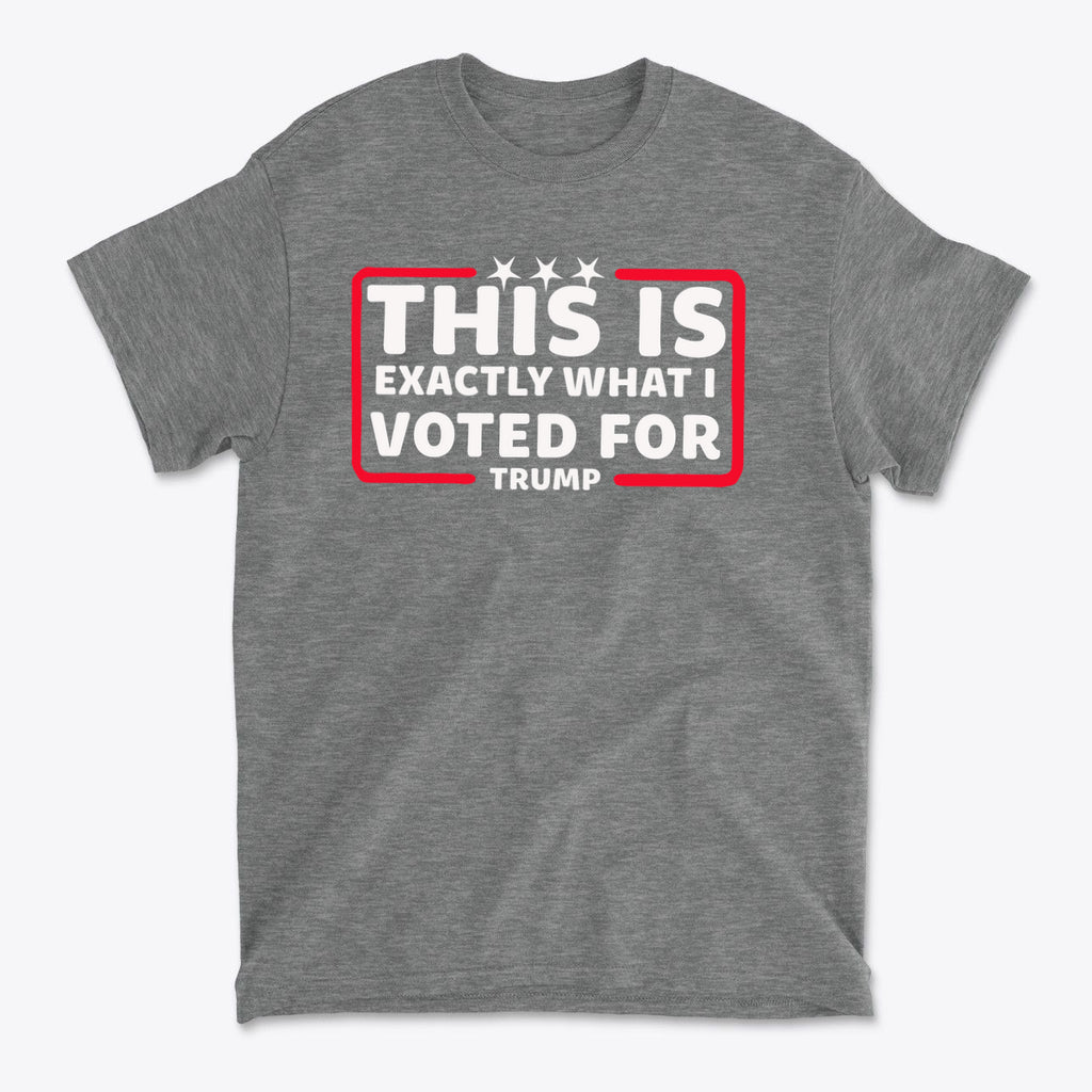 This Is Exactly What I Voted For graphic t-shirt in grey featuring a bold political statement.
