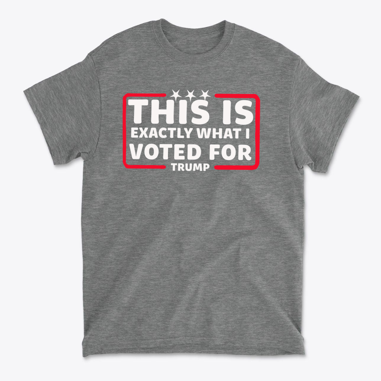 This Is Exactly What I Voted For graphic t-shirt in grey featuring a bold political statement.