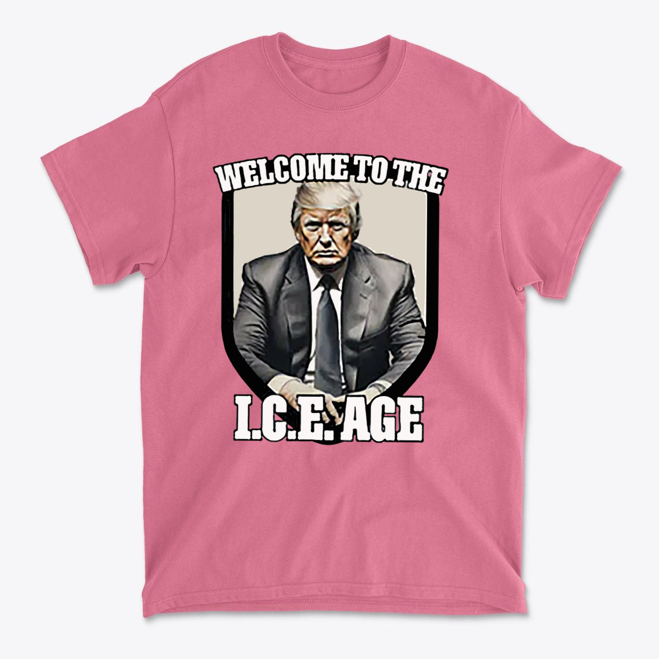 Welcome To The ICE Age Meme Style Graphic Shirt
