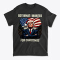 Got What I Wanted For Christmas