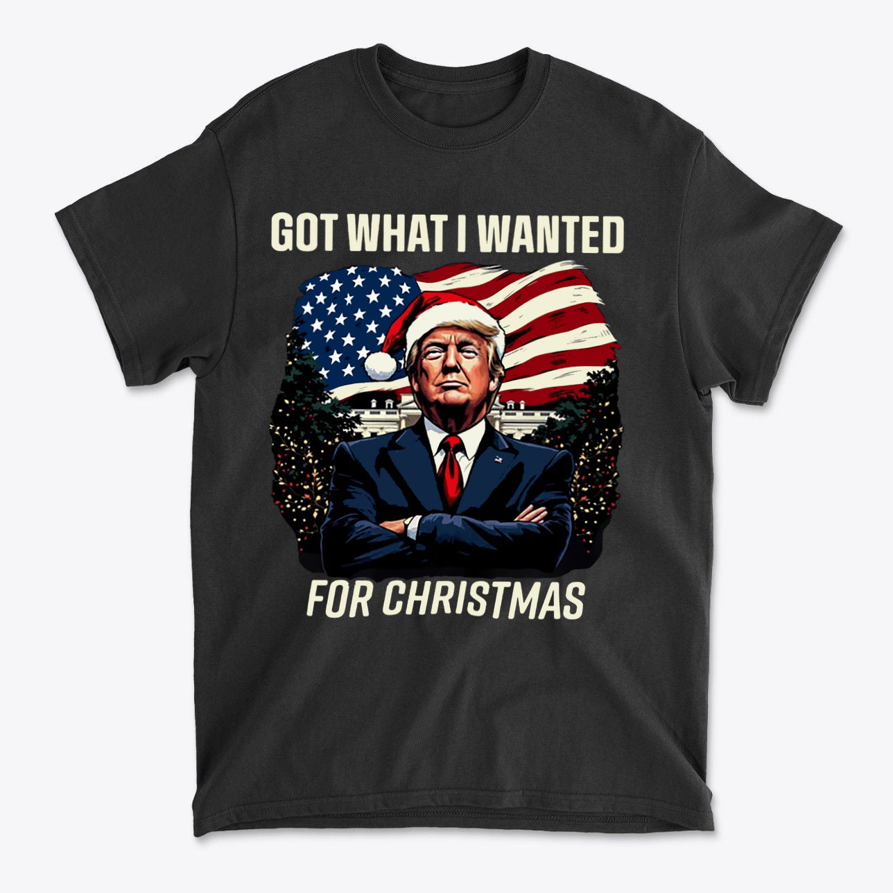 Got What I Wanted For Christmas