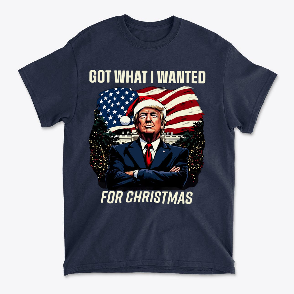 Got What I Wanted For Christmas