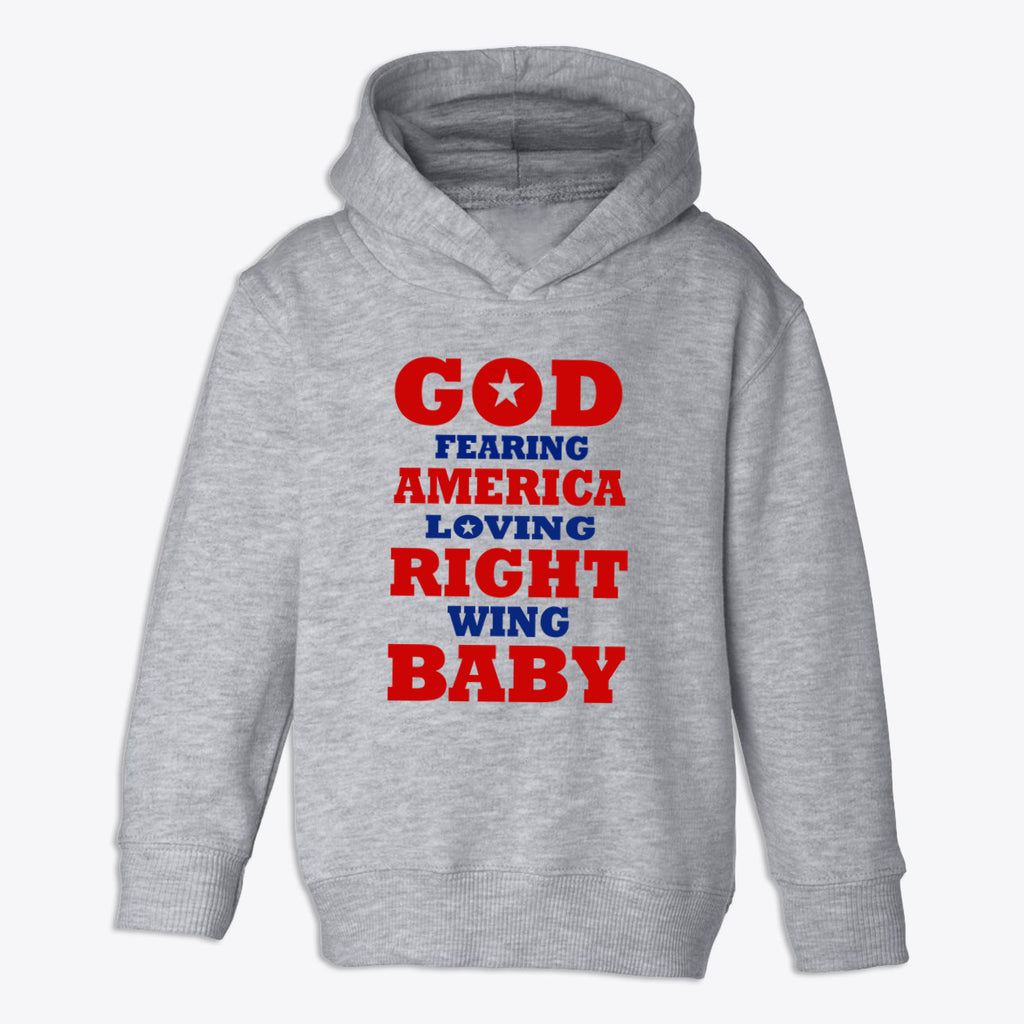 God Fearing America Loving Right Wing Toddler Hoodie