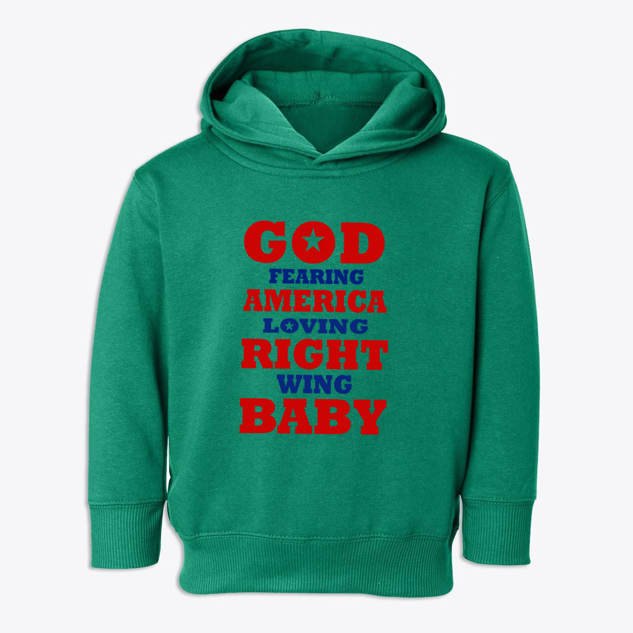God Fearing America Loving Right Wing Toddler Hoodie
