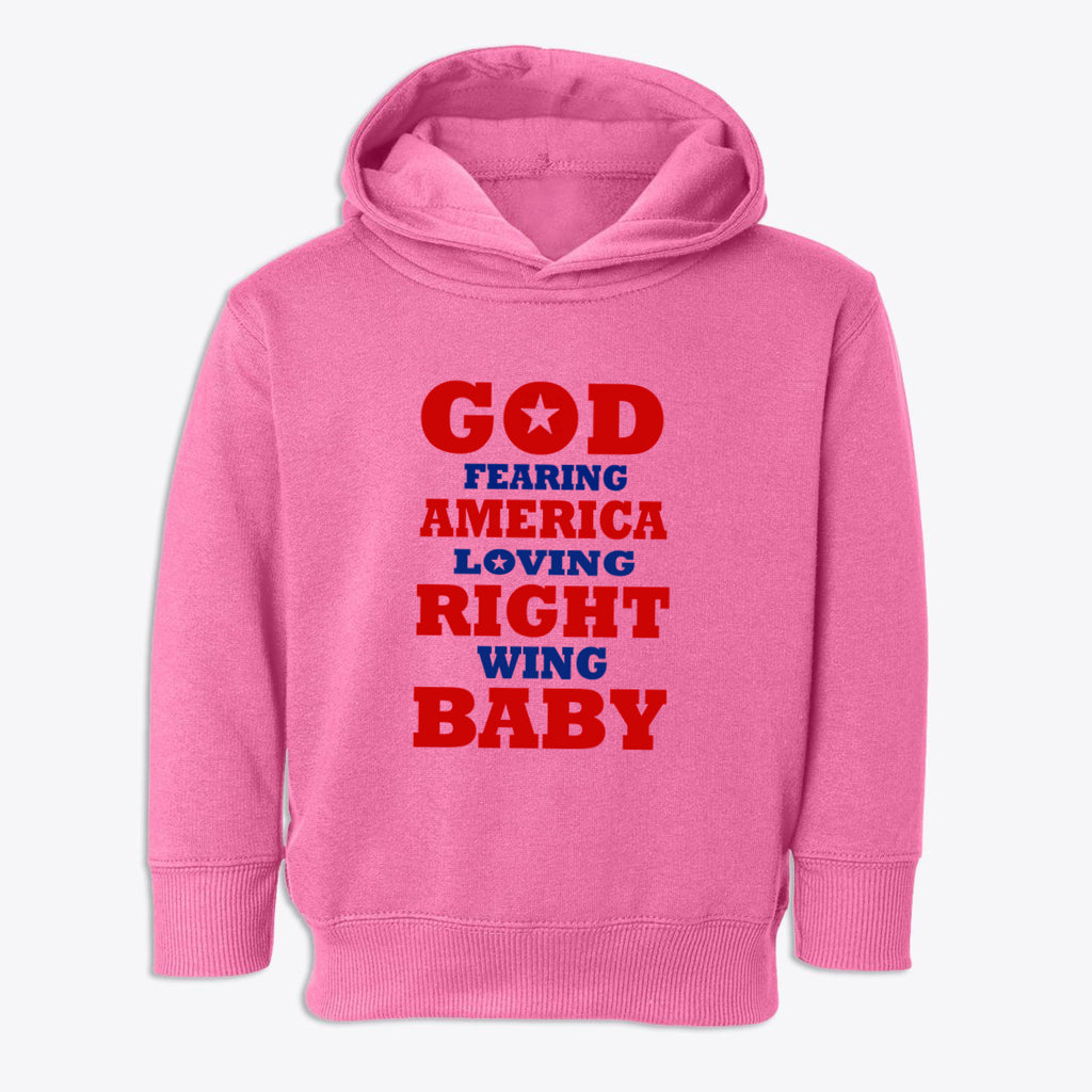 God Fearing America Loving Right Wing Toddler Hoodie