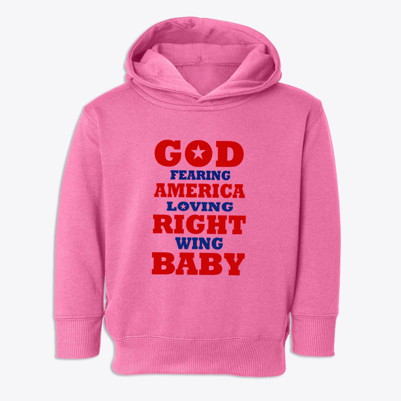 God Fearing America Loving Right Wing Toddler Hoodie