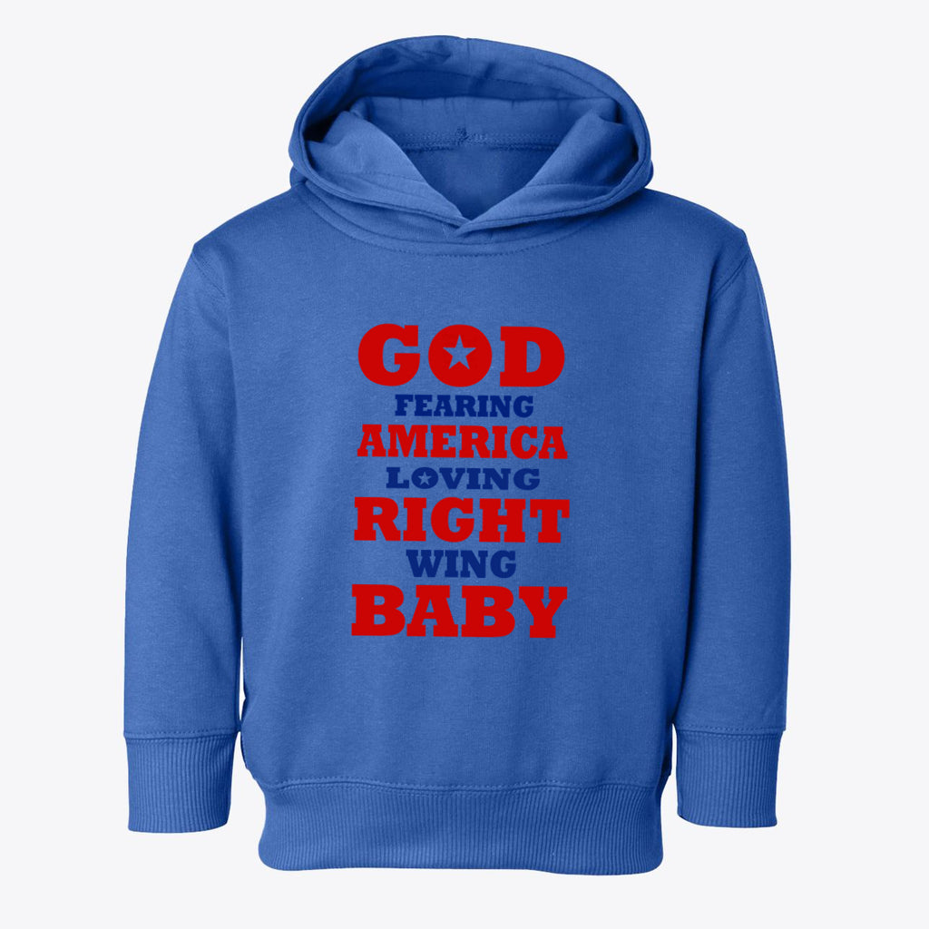 God Fearing America Loving Right Wing Toddler Hoodie