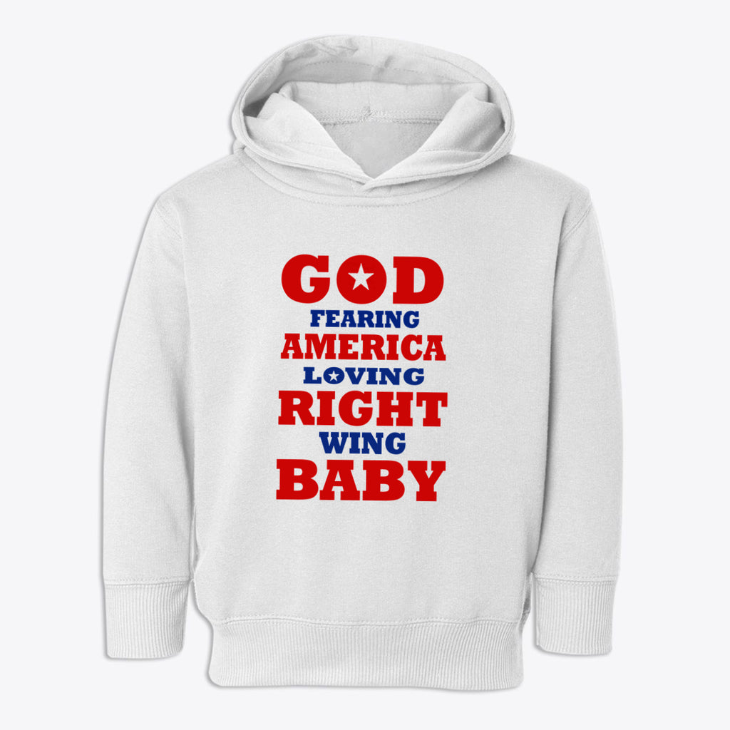 God Fearing America Loving Right Wing Toddler Hoodie