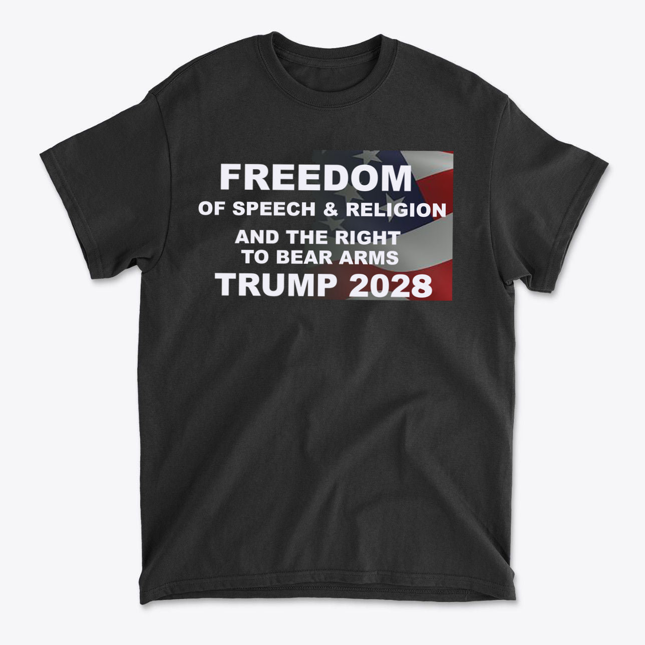Freedom Of Speech Religion Right To Bear Arms Trump 2028