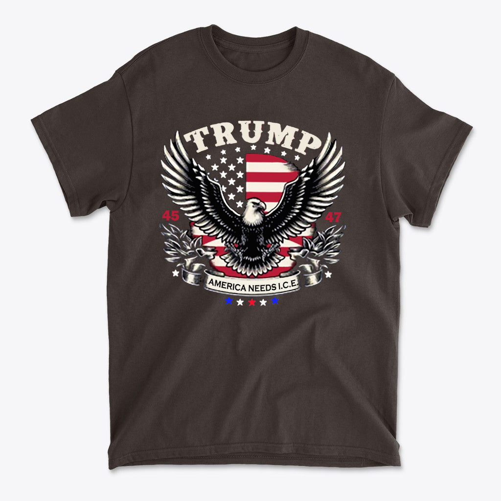 Graphic tee featuring the message 'Why America Needs ICE For Order' with patriotic design.