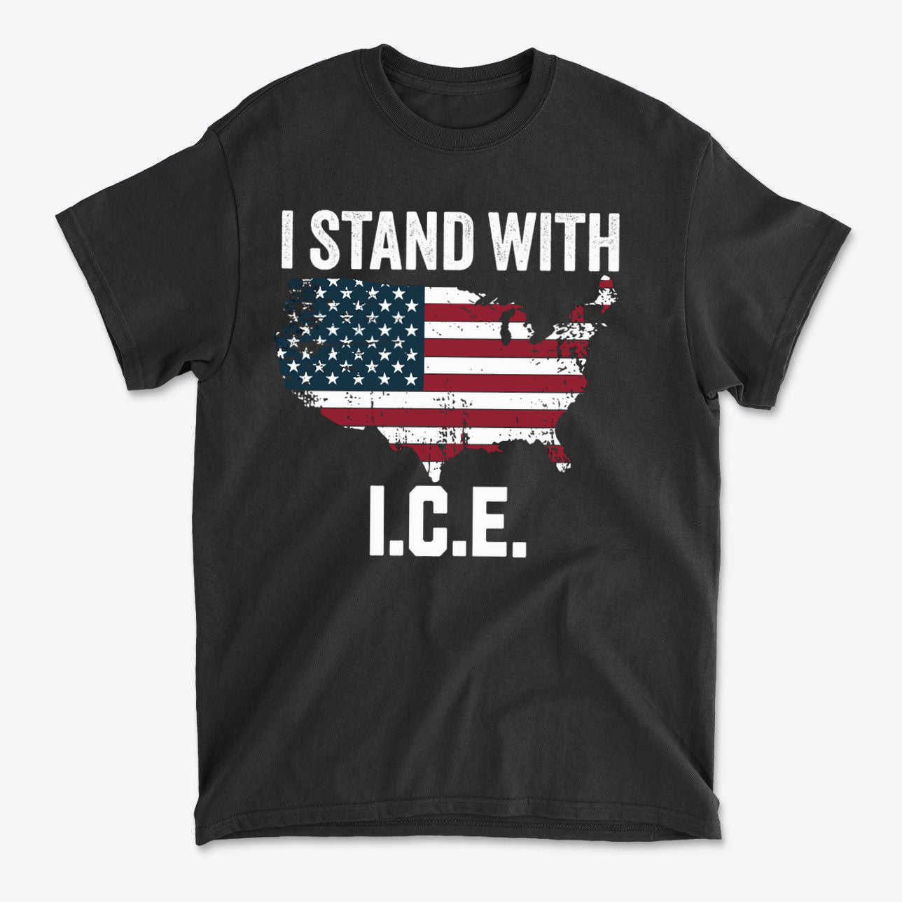 Why I Stand With ICE Every Day t-shirt featuring the United States map with an American flag design.
