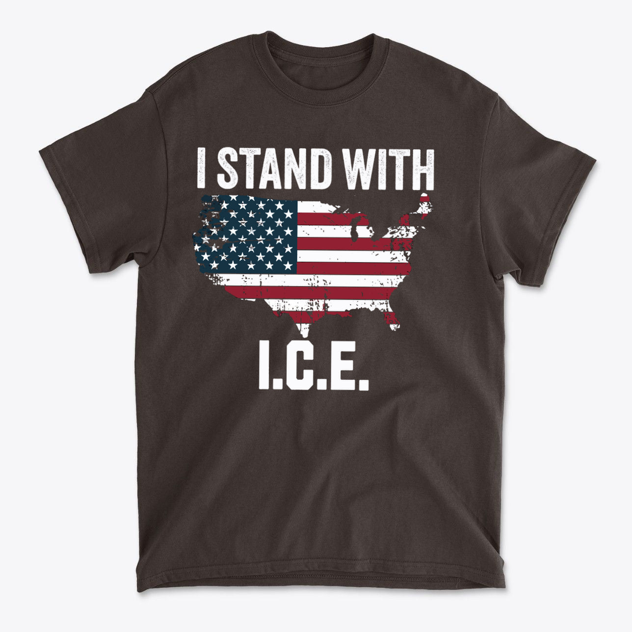 Why I Stand With ICE Every Day graphic t-shirt featuring American flag design.