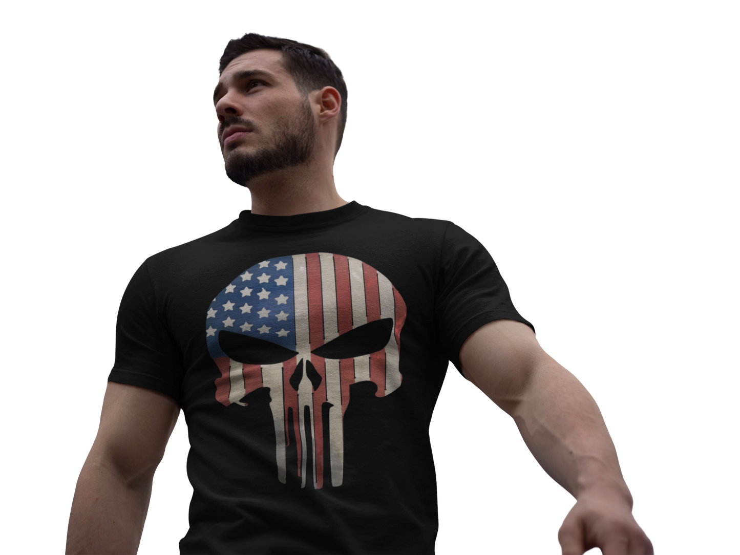 Punisher in Stars And Stripes 2