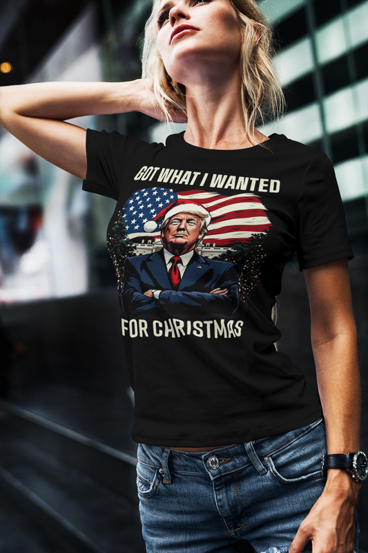 Got What I Wanted For Christmas