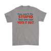 You Can't Fix Stupid But You Can Vote It Out!