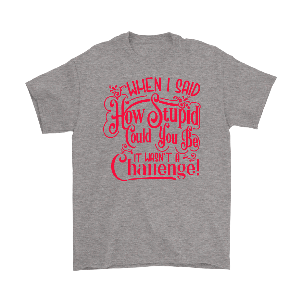 Gray t-shirt with text: 'When I Said How Stupid Could You Be It Wasn't A Challenge' in bold red letters.